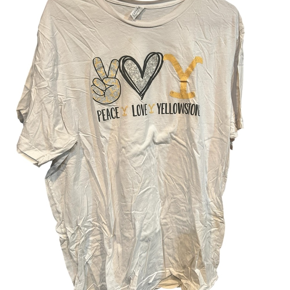 Bella Canvas Heart Graphic T-Shirt